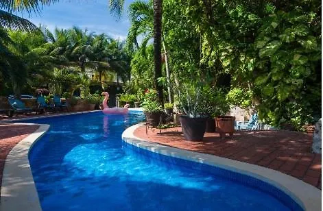 Villa Xaman Ha 36 Playa Del Carmen-steps From The Beach! *